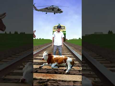May 13, 2022 Funny video - train & man vs cow