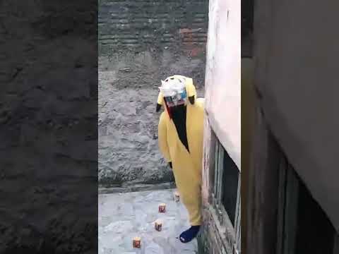 COMO CAPTURAR UM KAKACHU PARTE 2 #Shorts