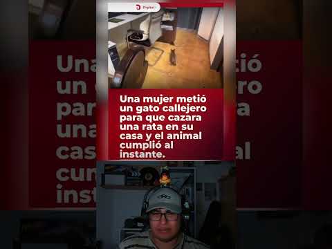 Demasiado eficaz ππ