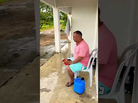 Será que ele é curioso 🧐.