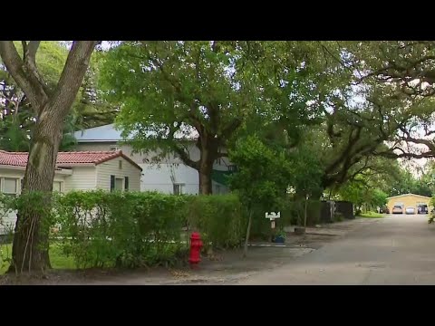 YouTube video thumbnail: What if Property Taxes Go Away in Florida? Here's What to Know
