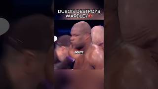 Daniel Dubois DESTROYS Fabio Wardley