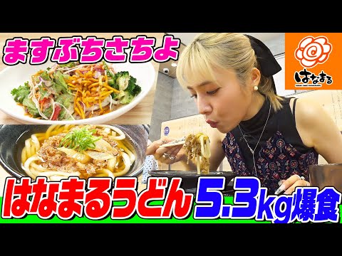 【大食い】ますぶちさちよが「はなまるうどん」で22品５kg以上爆食！「かけうどん」や「ぶっかけうどん」「サラダうどん」など人気メニュー続々登場【大胃王】【MUKBANG】【デカ盛りハンター】