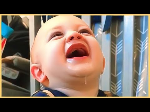 BEST Baby Laughing Video Compilation Ever!