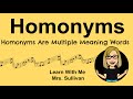 Exploring the World of Homonyms