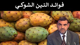 🔹 التين الشوكي 🌵 فوائده المذهلة وحقيقة علاقته بمرضى السكري! 🌙 د. محمد الفايد #برنامج_مالذ_وطاب