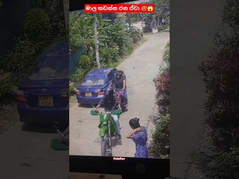 මේවා තියාගෙන මාල කඩන්නෑ නංගි 😂🤣 #funny #funnybiker #srilanka