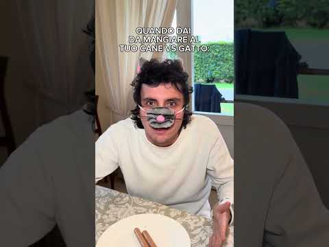 QUANDO DAI DA MANGIARE AL TUO CANE VS GATTO ๐ฑ ๐ถ