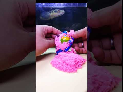 sharing c3lup0p filled with milk with fish #shorts #candy #sneakhead