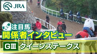 【注目馬 関係者インタビュー】2025年 クイーンステークス｜JRA公式