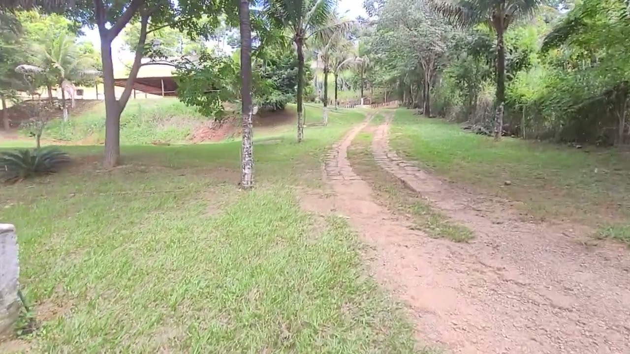 Vídeo 3