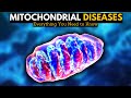 Mitochondrial Function and Diseases