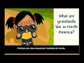 Grasslands and Savanna Ecosystems