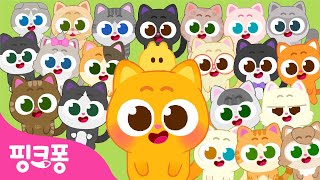 [NEW] 니니모 백 마리 🐱 | 니니모 스페셜송 | 하양 까망 삼색 고등어 냥이 모두 모여라! | Ninimo | 핑크퐁! 인기동요