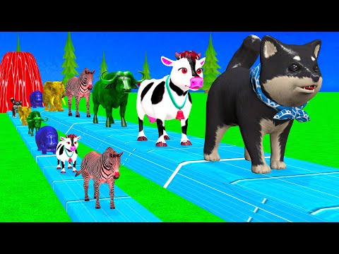 Paint Animals Duck,Tiger,Cow,Lion,Horse,Gorilla,Elephant,Dinosaur Fountain Crossing Animal Game New