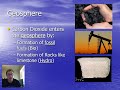 Exploring the Carbon Cycle and Its Four Spheres