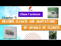 Animal Adaptations and Climate Characteristics