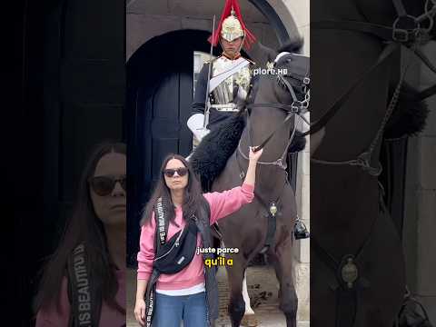 Pourquoi Toucher un Cheval de Garde Peut Vous Attirer des Problèmes ?