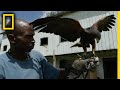 Rodney's Journey and Values