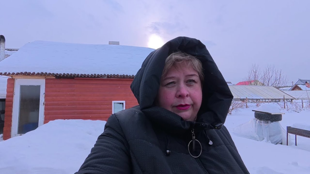Одели курам очки. Купили Дуне лекарства. Купили плед на диван.