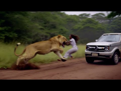 Terrifying Animal Encounters | Wildlife Moments on the Streets