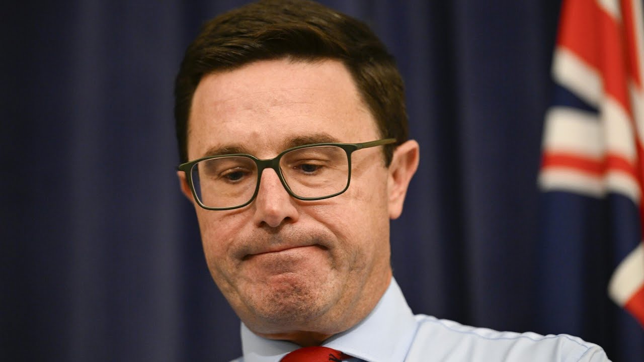 ‘Disaster’: Coalition’s federal election performance questioned amid Teals’ Bradfield win
