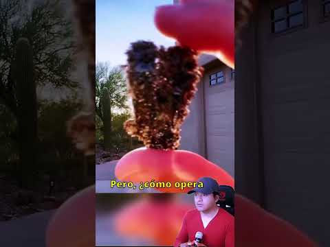 ¿Qué pasa si concentras el Sol en un solo punto? 🔥🪞