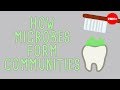 Understanding Biofilms
