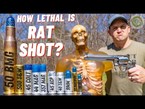How Lethal Is Rat Shot ??? 🐀