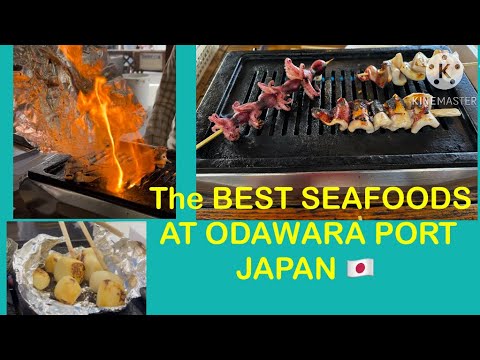 HUWAG PURO MEAT TRY SEAFOODS DIN #japanfreshseafoods #odawara