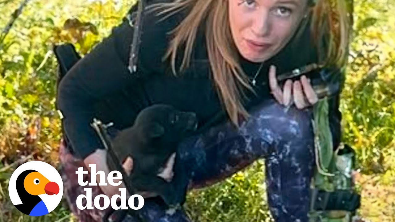 Woman Rescues Puppy From Under A Shipping Container - The Dodo