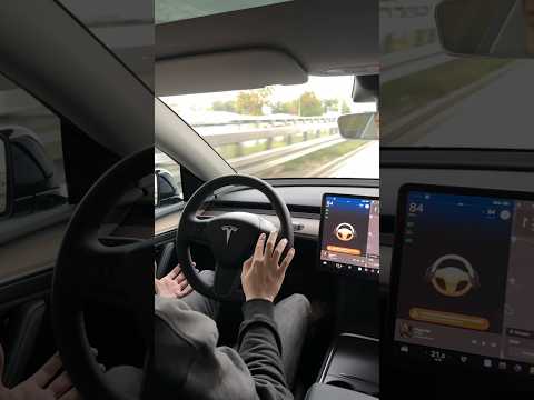 ICH HABE DEN TESLA-AUTOPILOTEN GETESTET…🗿🚘