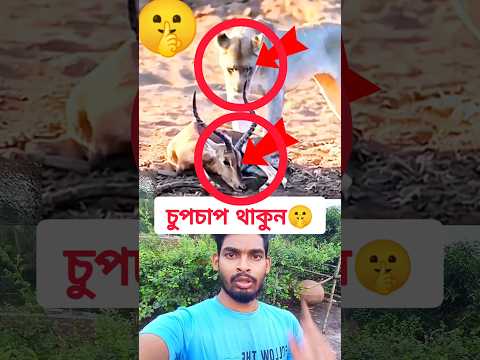 বিপদে চুপচাপ থাকুন 🤫🥺👇 #tbrtechrakib #shortvideo