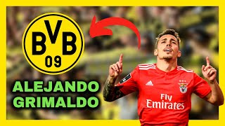 🟡Eine mögliche Verstärkung für den BVB?