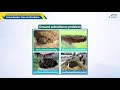 Groundwater Management and Resources