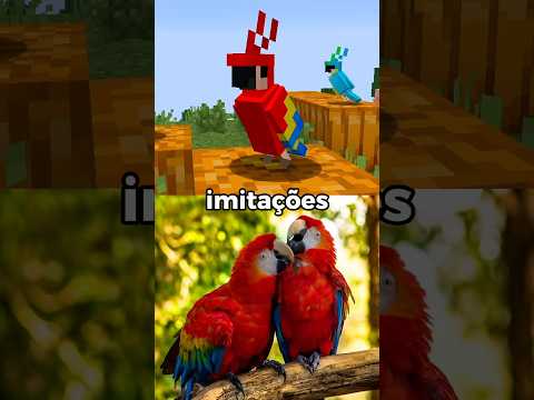 Vocês Foram Jegue?
