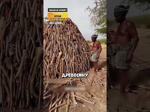 Вот, что нам впаривают в магазинах🤯🔥