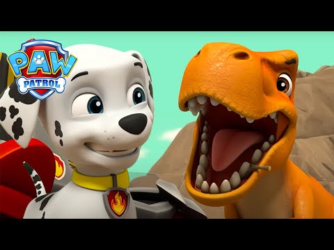 Os cachorros ajuda um dinossauro ferido - Patrulha Pata PAW Patrol Episódio Português