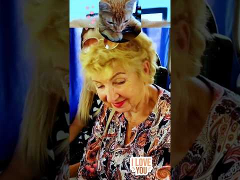 everybody happy finally #respect #kindness #truelove #shorts