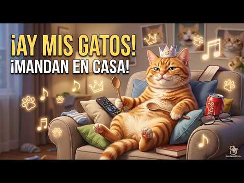 ¡MIS GATOS MANDAN EN CASA! 🐱 (Canción Original muy divertida)