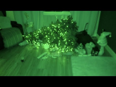 Christmas Tree Totally DESTROYED in My Haunted House