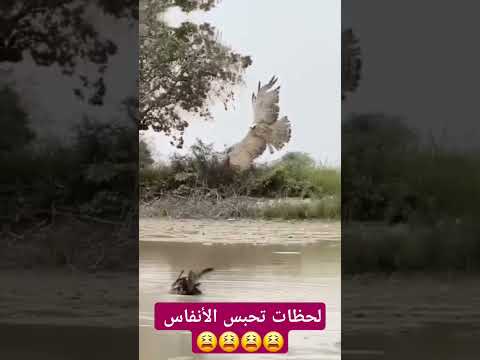 لحظات صعبة تحبس الانفاس
