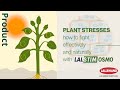 Plant Physiology and Stress Responses