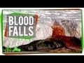 Blood Falls: A Natural Wonder in Antarctica