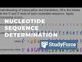 RNA Structure and Function Concepts