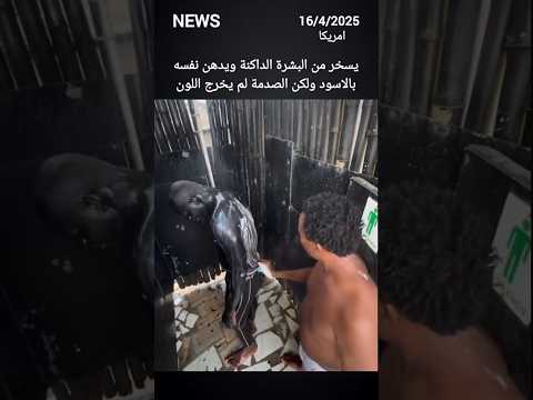 #سبحان_الله@القرانالكريماللهواكبر #اكسبلور #متابعه_ولايك_فضلا_وليس_امرآ