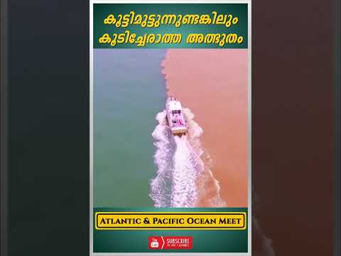 കൂട്ടിമുട്ടിയാലും കൂടിച്ചേരാത്ത കടൽ | Atlantic Ocean And Pacific Ocean Meet #shorts