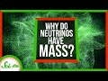 Understanding Neutrinos: Mysteries and Theories