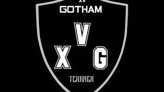 XV GOTAM- moula