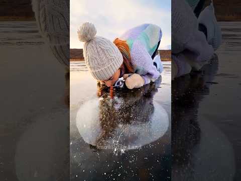 เจาะน้ำแข็งใส่อากาศ ช่วยชีวิตปลา ความจริงที่คนดูแล้วอึ้ง #shorts